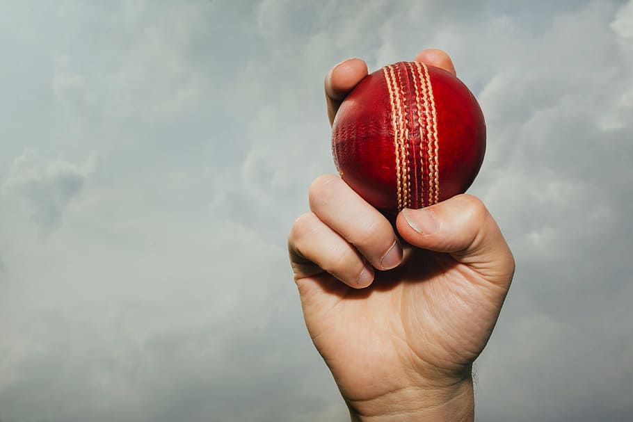 tenencia, pelota de cricket, mano, hombre, varios, pelota, cricket, deporte, deportes, mano humana