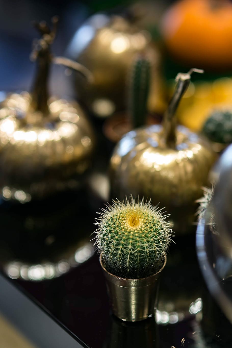 ornamental, pumpkins, cactuses, Golden, gold, ornaments, baubles, cactus, food, close-up