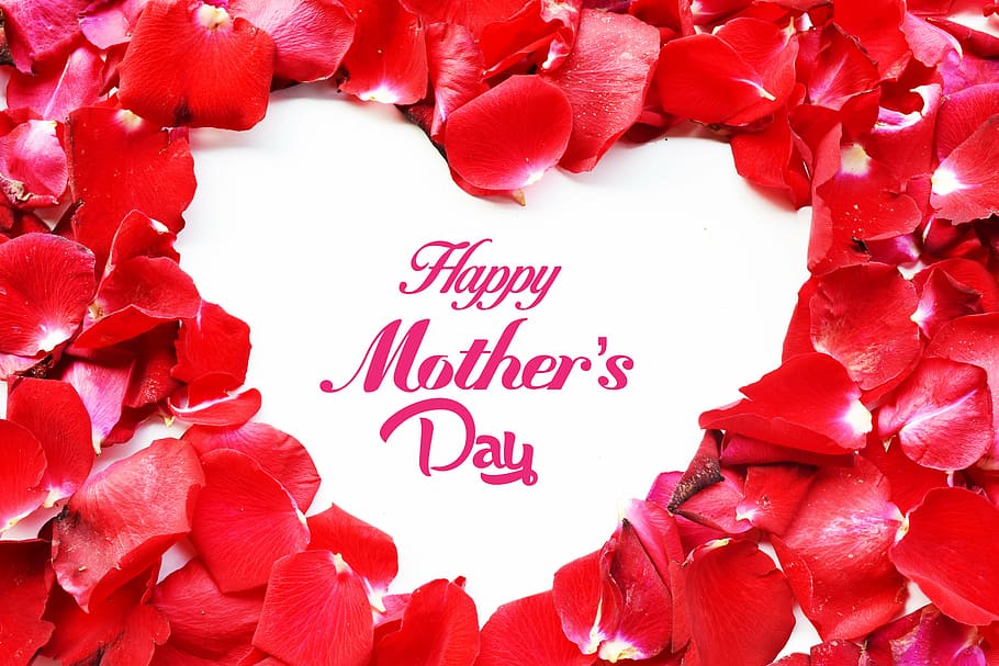happy, mother, day text overlay, april, background, beauty, bloom, blossom, bouquet, bow