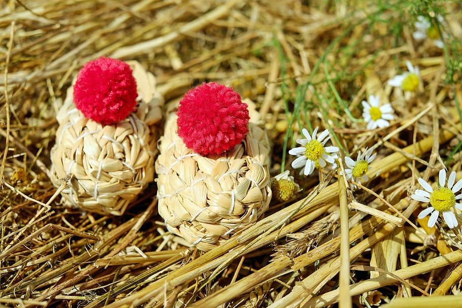 white, yellow, flowers, dried, leaves, shoes, straw shoes, straw, bobble, red