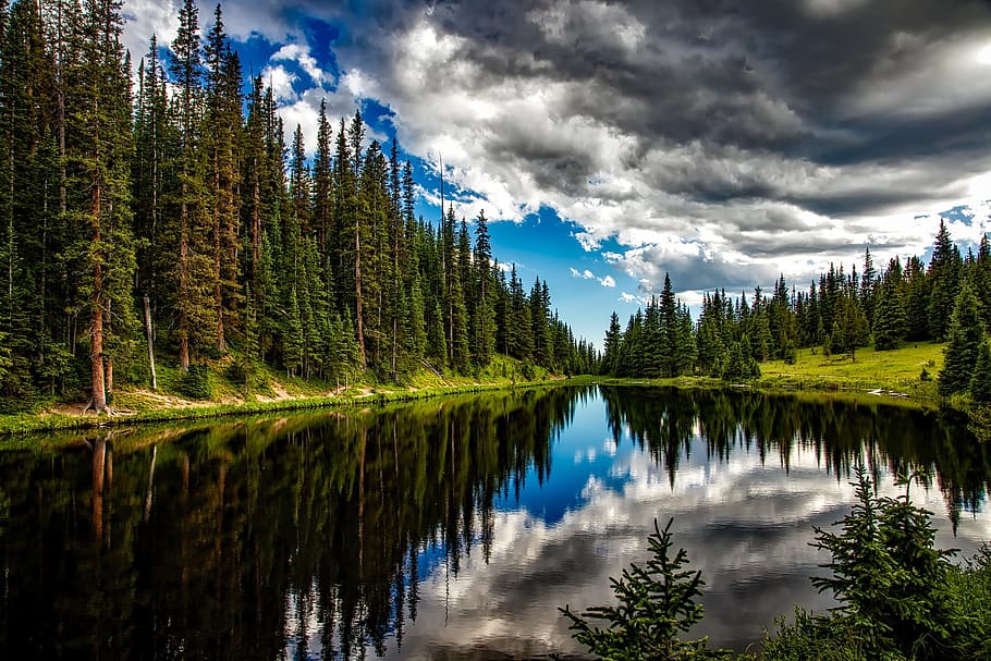 body, water, surrounded, trees, lake irene, colorado, reflections, sky, clouds, forest
