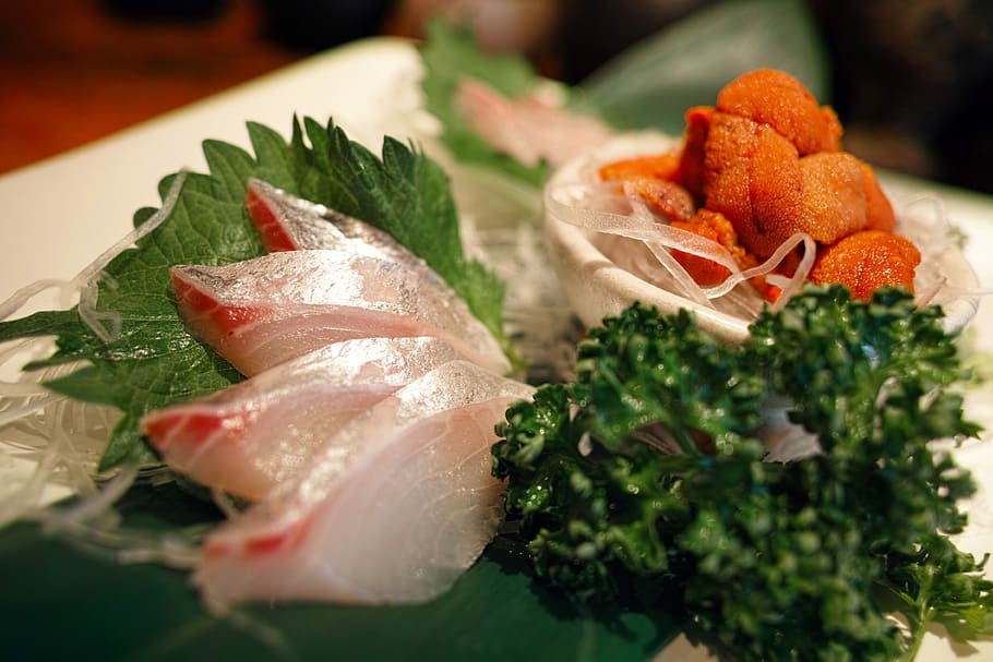 Comida japonesa, taberna, restaurante, cocina, comida, dieta, sashimi, pescado, erizo de mar, comida y bebida