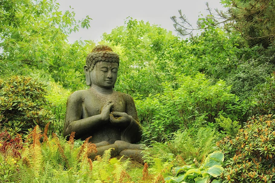 meditasi, merenungkan, relaksasi, Budha, agama Budha, iman, agama, patung, seni, musim panas