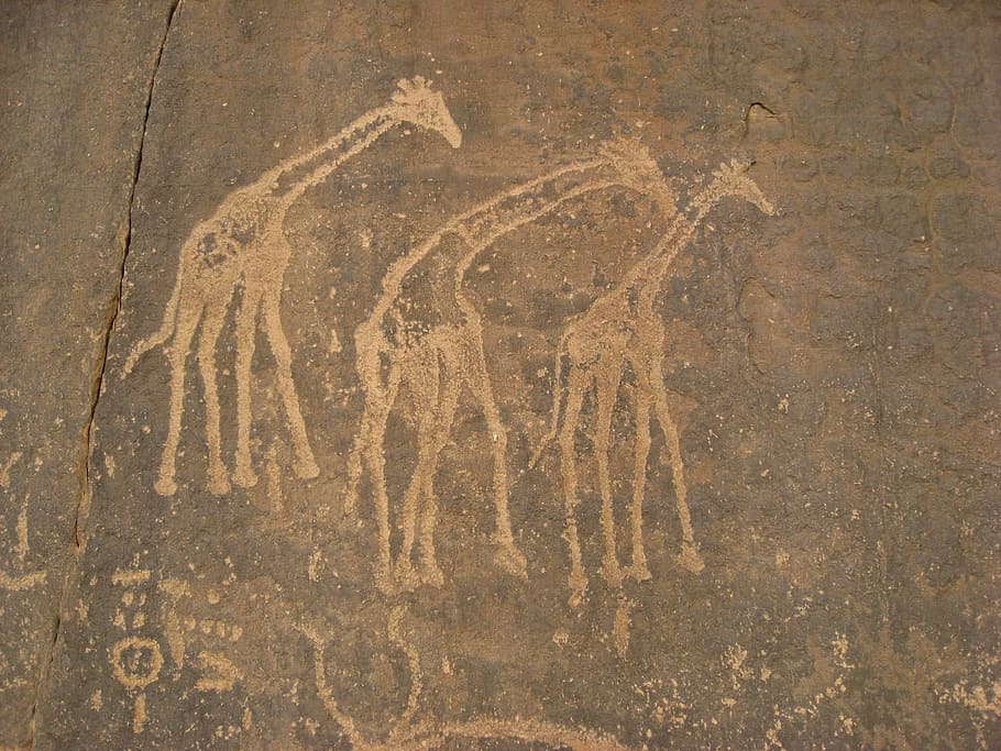 three, brown, giraffes decor, algeria, cave paintings, ancient writing, prehistory, giraffes, art and craft, day