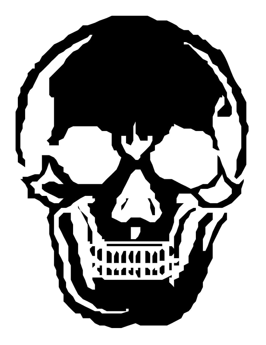 Skull, Human, Skeleton, Halloween, human, skeleton, horror, spooky, anatomy, head, cranium