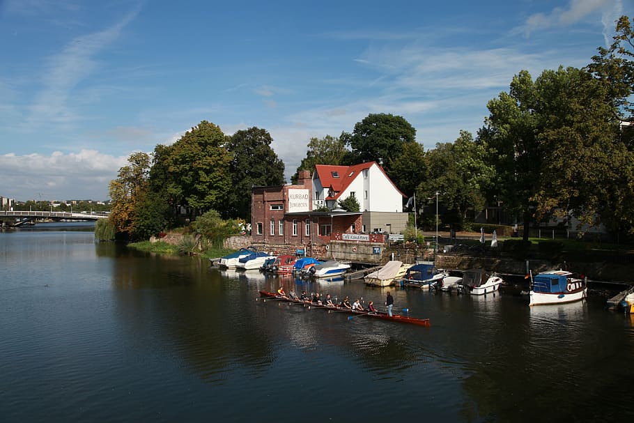 rowing boat, rowing eighth, roller coaster, river, water, tree, plant, transportation, nautical vessel, architecture