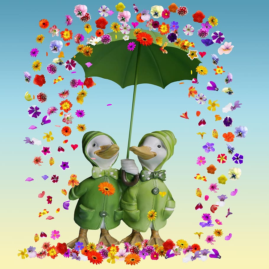 two, duck, green, umbrella illustration, flowers, flowers rain, umbrella, ducks, garden statues, composing