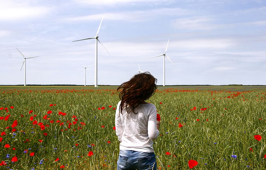 woman, white, shirt, red, poppy field, daytime, wind turbines, windmills, spin, maki