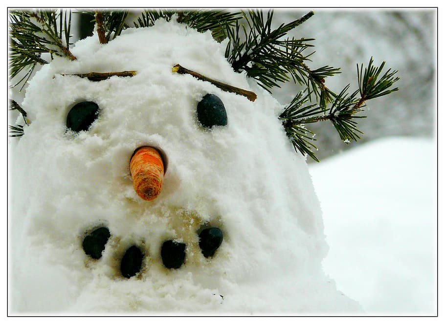 boneco de neve, nariz de cenoura, pinheiro, Homem da neve, inverno, neve, branco, rosto, sorriso, tudo