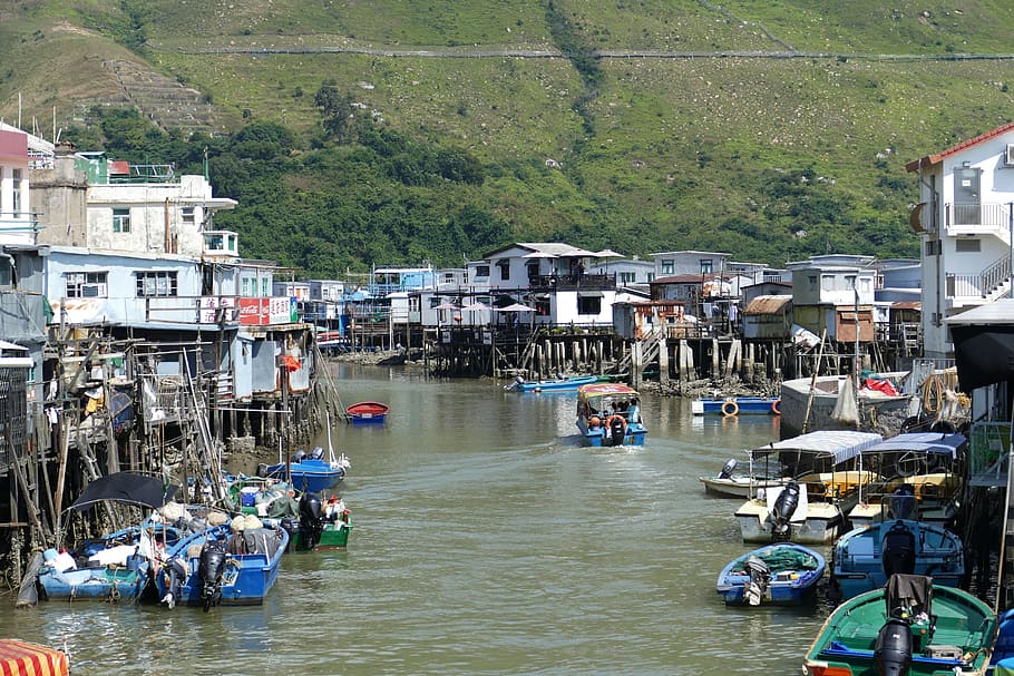 Hong Kong, China, Asia, Lantau, Tai O, pueblo, pueblo pesquero, mar, vivir, pobreza