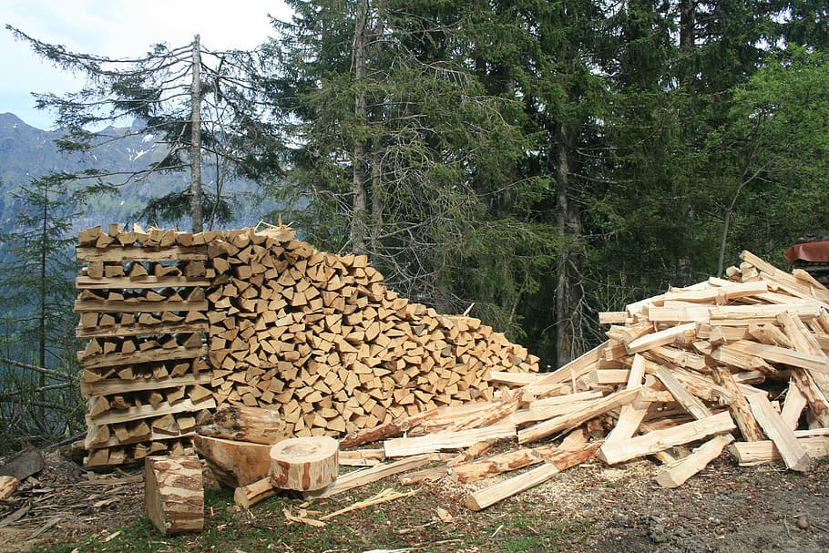 wood, pile, forest, timber, industry, environment, lumber, firewood, pine, stack