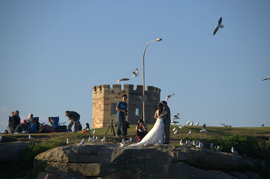 La Perouse, New South Wales, Wedding, la perouse, new south wales, taking photo, bird, seagull, castle, sky, people