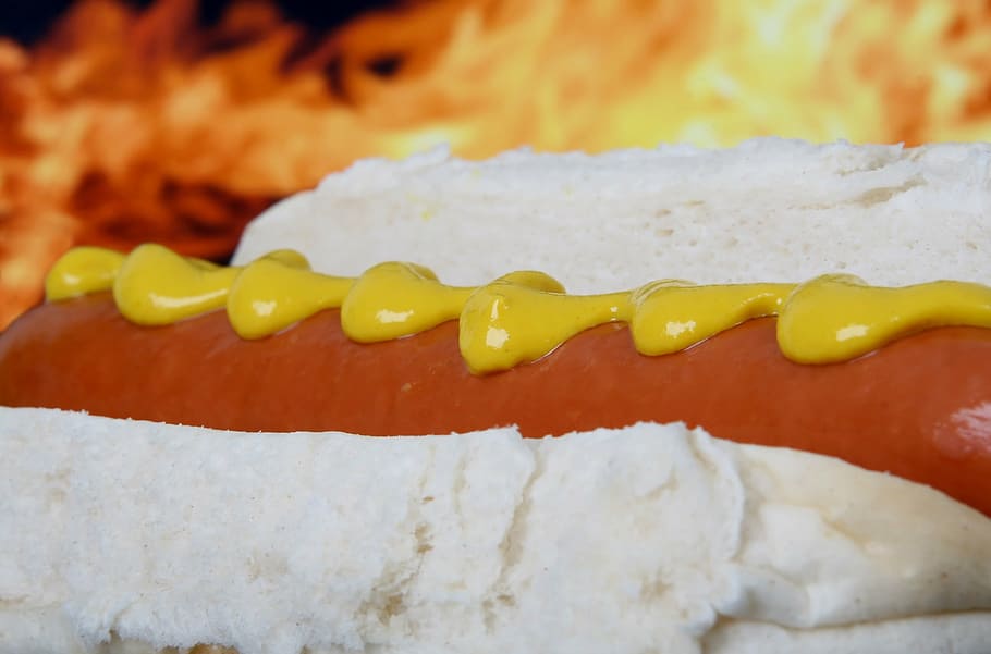 burger hotdog, mustard, amerika, jauh, latar belakang, barbekyu, barbeque, bbq, daging sapi, roti