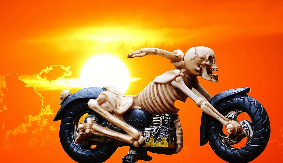 biker, skeleton, creepy, weird, decoration, scary, bone, horror, skull and crossbones, skull
