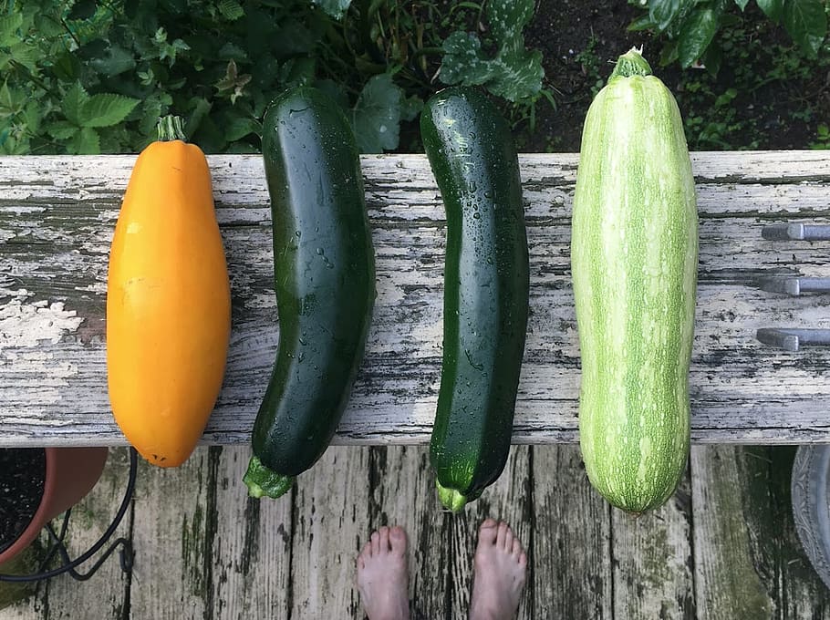 four, types, zucchinis, zucchini, harvest, garden vegetable, fresh, organic, food, vegetarian