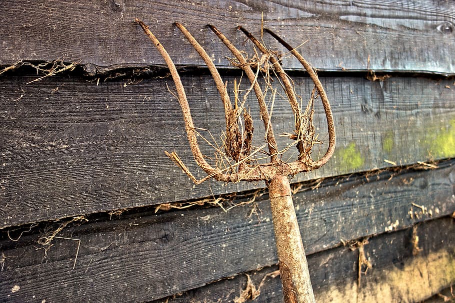 brown rake, pitch fork, prongs, tool, farming tool, agriculture, equipment, utensil, farming, gardening
