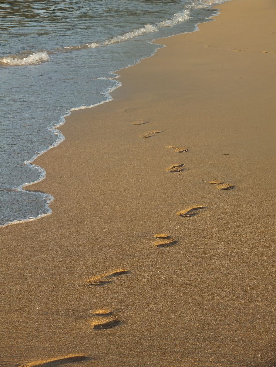 steps, sand, water, beach, footsteps, erasure, footprint, summer, sea, walk