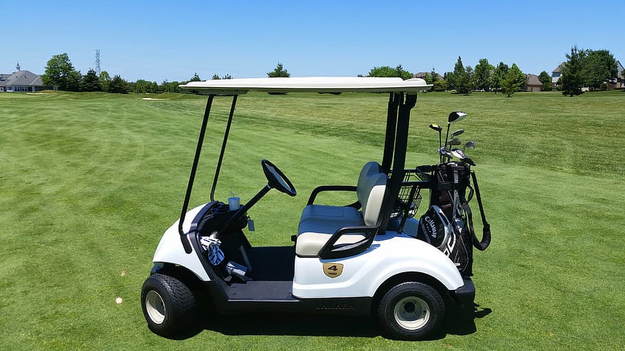 white, black, golf course, Golf Cart, Grass, Outdoor, Golf, Course, golf, course, summer