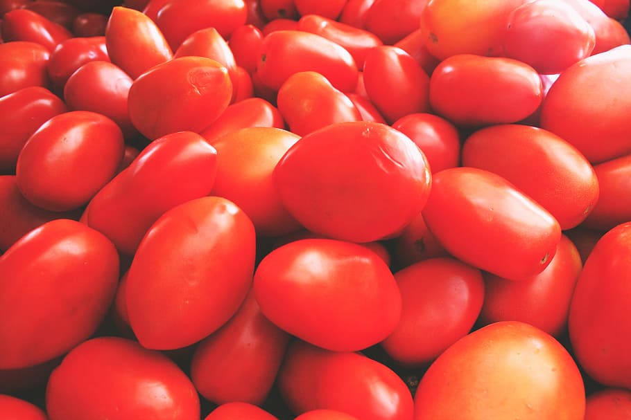 tomates vermelhos frescos, alimentos / bebidas, alimentos, saudável, frescura, orgânico, maduro, saudável comer, comida vegetariana comida, close-up