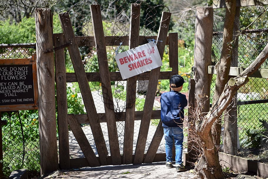 Gate, Wooden, Entrance, wooden gate, boy, sign, outdoors, fence, uSA, people