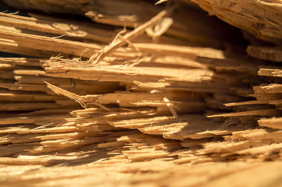 wood, kindling, lena, trunk, wood - material, stack, large group of objects, selective focus, abundance, timber
