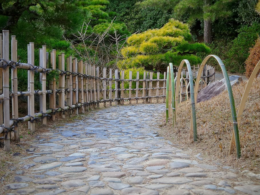 Jepang, Taman, Jalan, tradisional, hijau, tidak ada orang, di luar ruangan, hari, pohon, alam