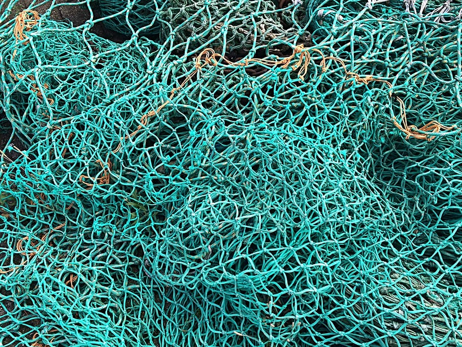 緑の魚網, 漁網, 魚, 緑, 釣り, 海, フィッシャー, ネットワーク, 海岸, 背景