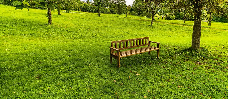 brown, wooden, bench, green, grass lawn, tree, bank, tranquility base, rest, wooden bench