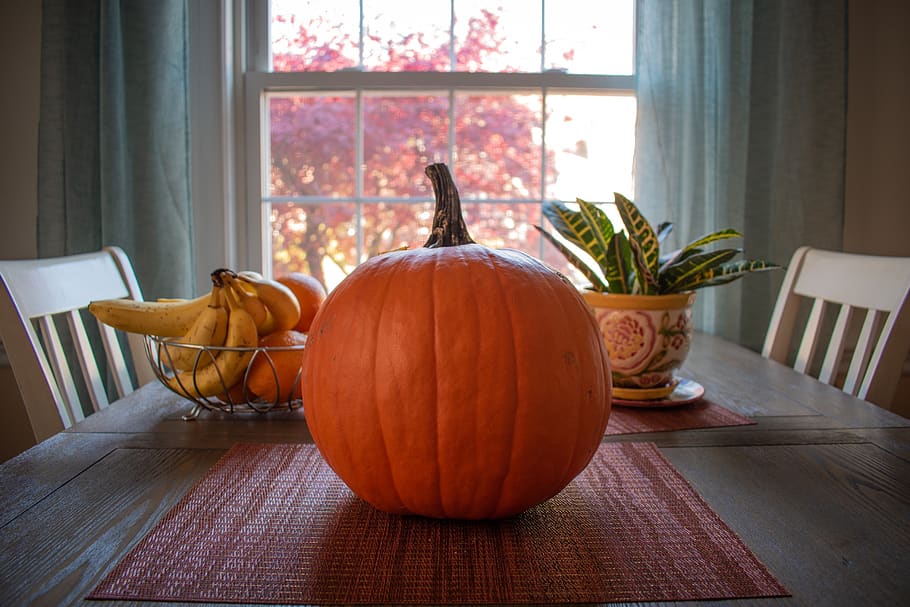 pumpkin, thanksgiving, meal, autumn, eat, harvest, fruit, healthy, fresh, fall