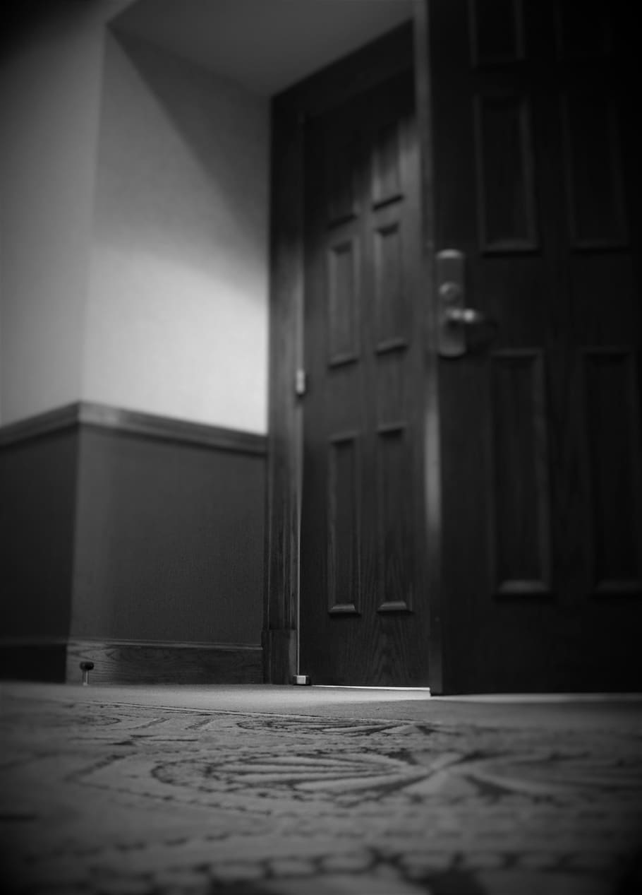 Door, Black And White, White, Light, light, black, white, interior, apartment, style, home