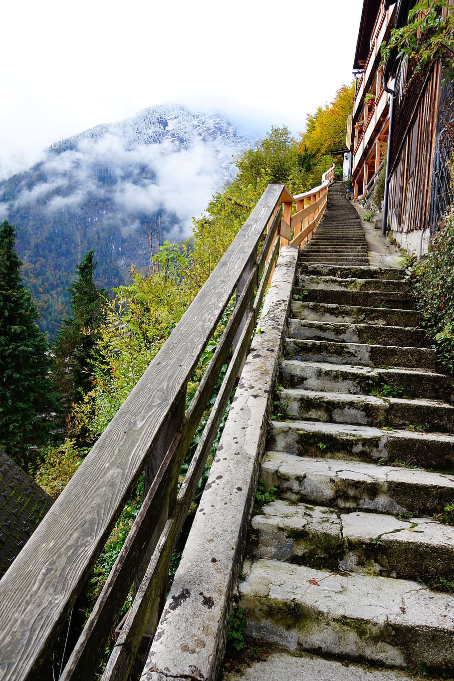 Hallstatt, Stairs, Walk, Nature, landscape, travel, cloud, mountain, wood - material, steps