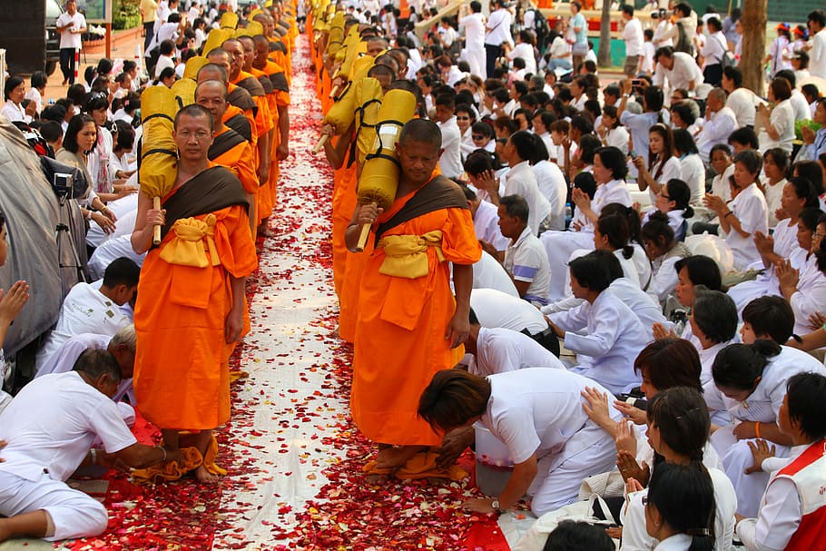 budistas, monges, andar, tradição, cerimônia, tailândia, tailandês, festival, orar, templo