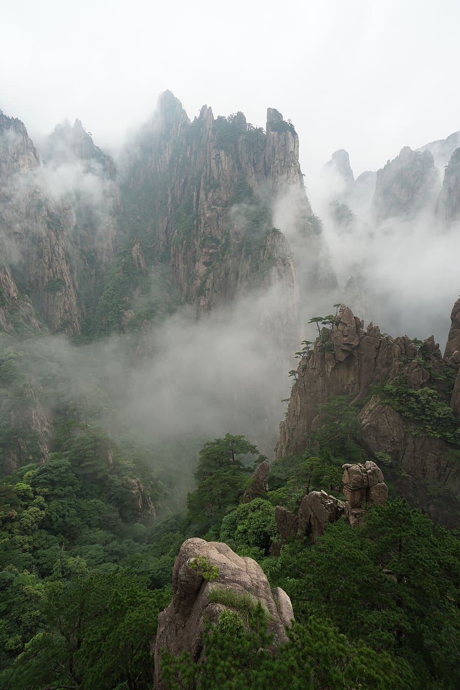 huangshan, mountain, mountain range, fog, trees, china, scenics - nature, environment, tranquil scene, plant