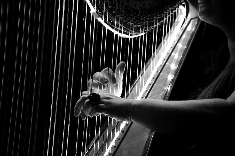 grayscale photo, person, playing, harp, concert, logo, hamburg, breysen, music, musical Instrument