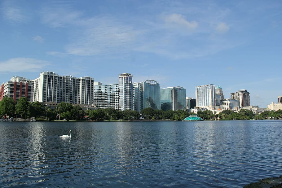 city buildings, body, Orlando, Eola, Swan, Water, Lake, metropolitan, skyscraper, office