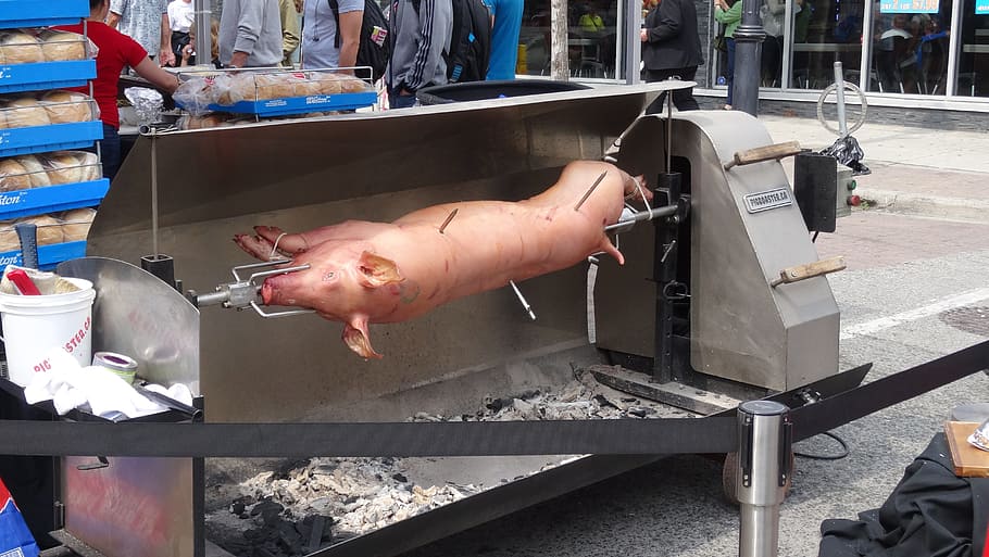 pig, barbecue, grill, eat, meat, grilled, food, delicious, pork, fry
