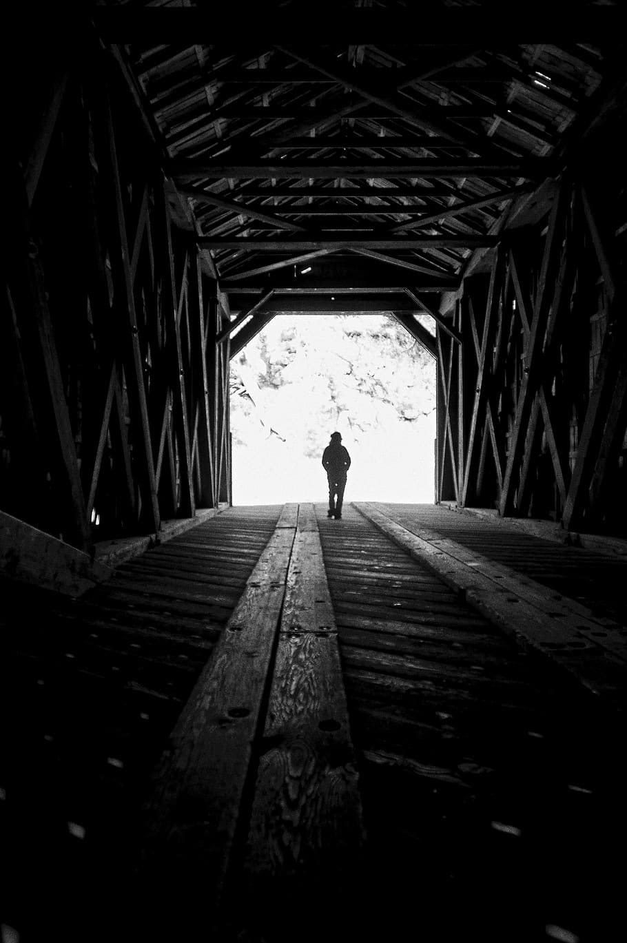 walk, woman, silhouette, wooden, bridge, alone, journey, travel, monochromatic, covered