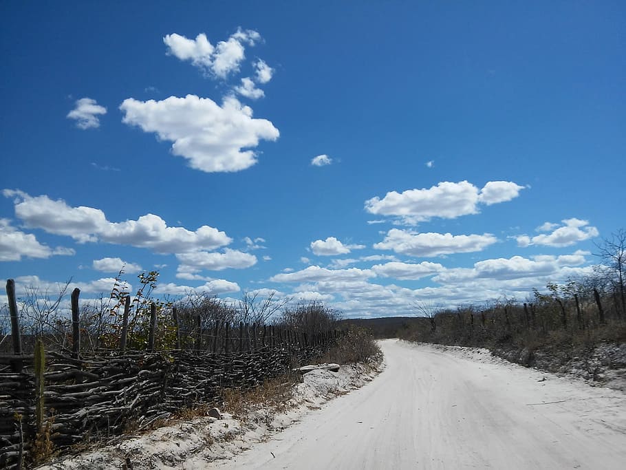 Road, Caatinga, Semiarid, Ceará, quiterianópolis, backcountry, cloud - sky, sky, nature, landscape
