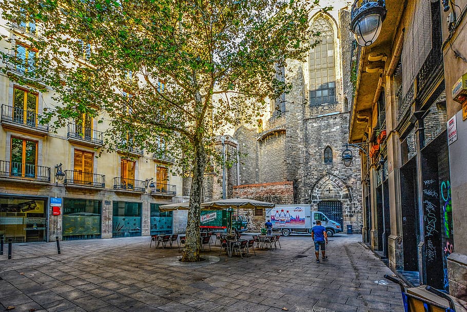 Gótico, Barcelona, ​​Mañana, Catedral, calle, medieval, plaza, paisaje urbano, cataluña, arquitectura