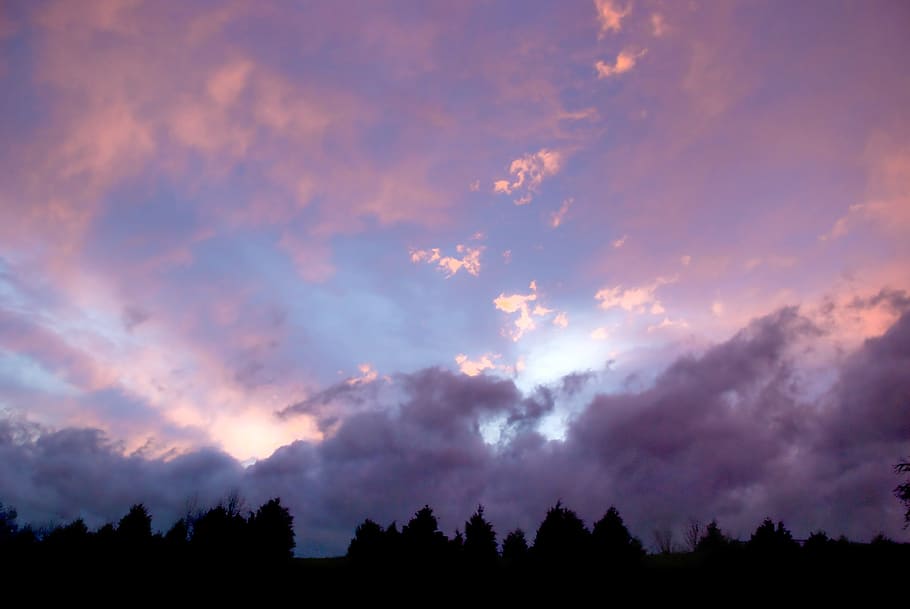 シルエット, 木, 曇り, 空, 雲, パステル, 光, 日光, 夕方, ピンク