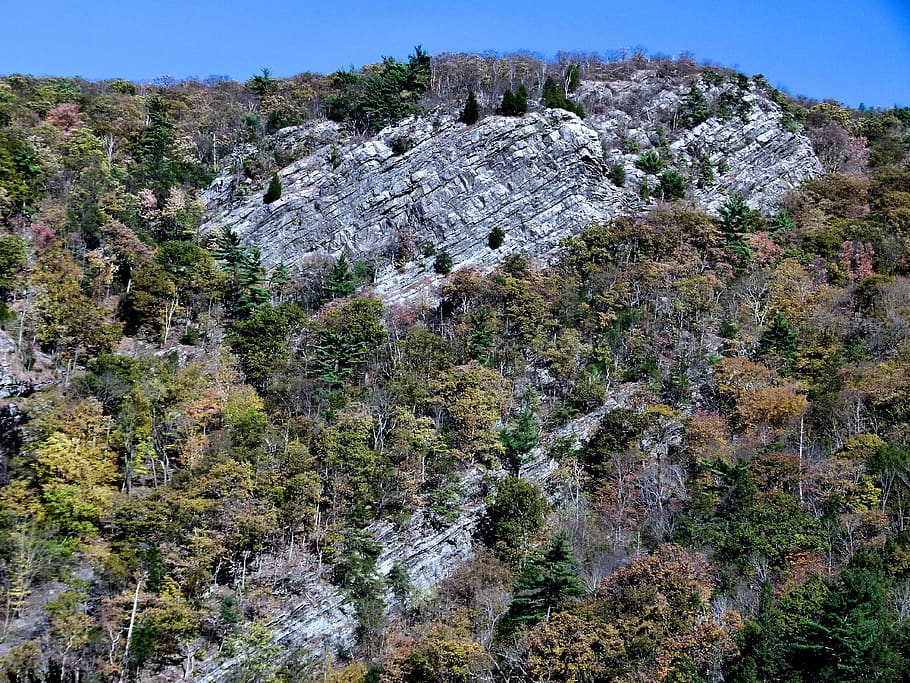 delaware water gap, cliff, landscape, rock, scenic, mountains, tree, plant, nature, mountain