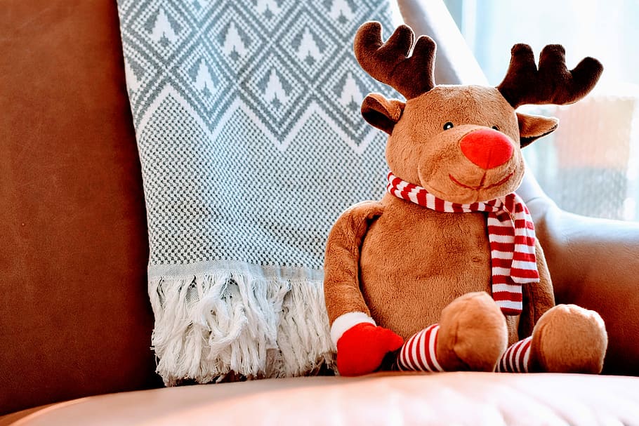 stuffed, rudolph, red, nosed, reindeer christmas, Rudolph the Red Nosed Reindeer, Christmas, photos, public domain, red nosed reindeer