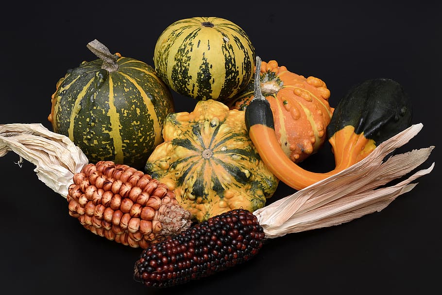 assorted vegetables, pumpkin, gourd, autumn, thanksgiving, decoration, harvest, halloween, decorative, autumn decoration