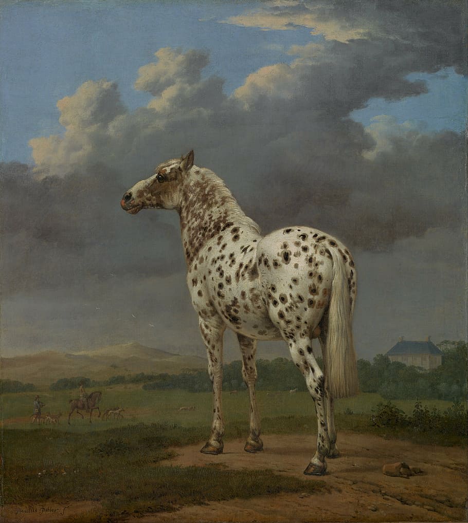 blanco, gris, pintura de caballos, paulus potter, arte, pintura, óleo sobre lienzo, caballo, retrato, naturaleza