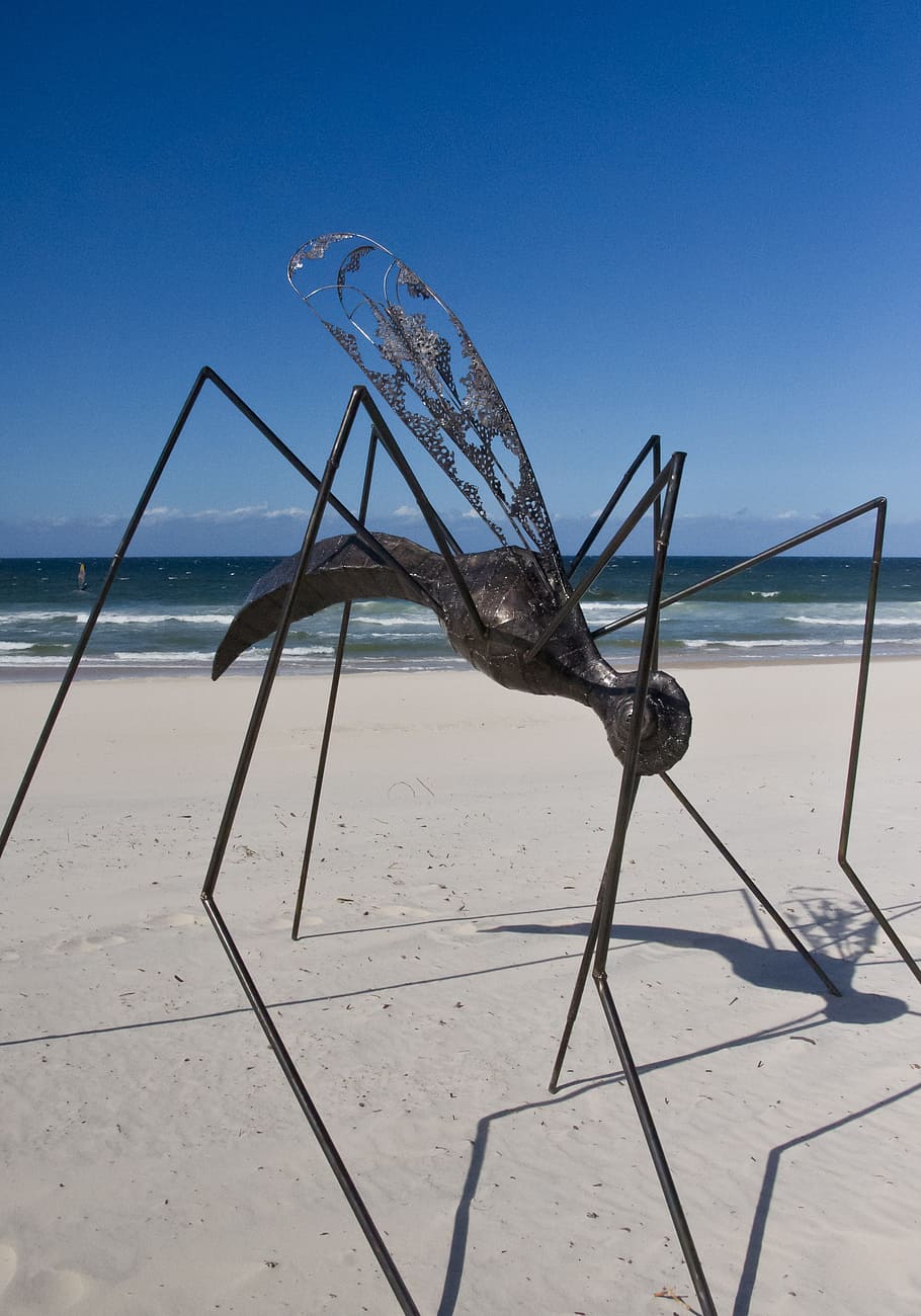 inseto, escultura, arte, preto, grande, pernas, modelo, contemporâneo, moderno, praia