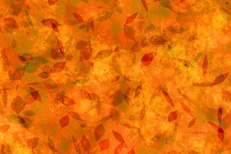 orange foliage pattern, flowers, leaves, autumn, aesthetic, branch, old, texture, background, structure