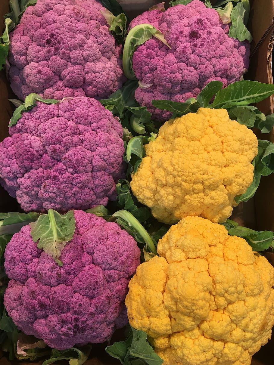 purple, white, broccoli vegetables, cavoli viola, cauliflower, flower, produce, garden, nature, autumn
