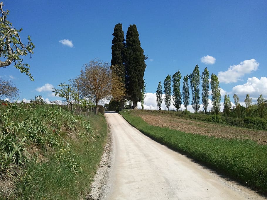 Tuscany, Tuscan, Landscape, Italy, tuscan landscape, road, sky, tree, cloud - sky, nature