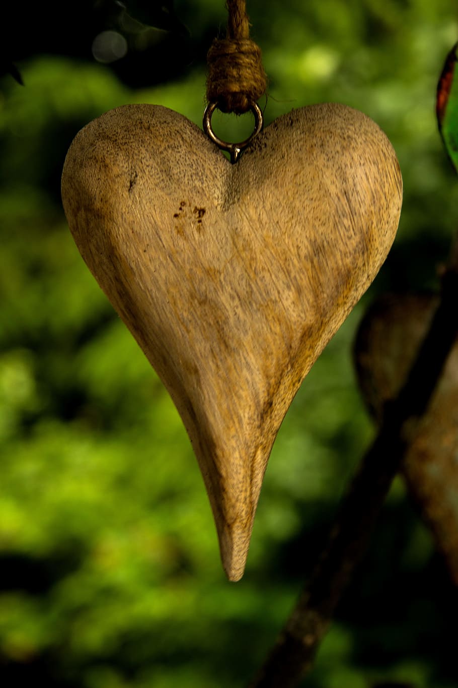 accesorio de corazón marrón, corazón, amor, jardín, día de San Valentín, romance, romántico, suerte, fondo, madera