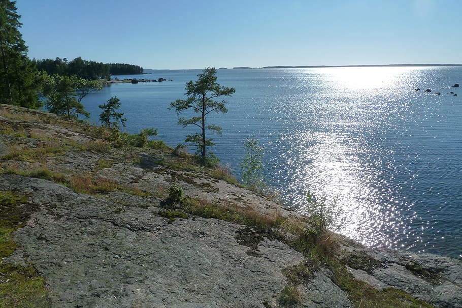 フィンランド, バルト海, 予約済み, 水, 自然の美しさ, 静けさ, 風光明媚な自然-空, 静かなシーン, 海, 植物
